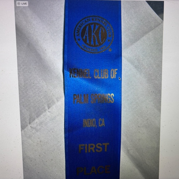 PATRICIA NASH MILAN ITALY-NWT $199.00 - Picture 14 of 15